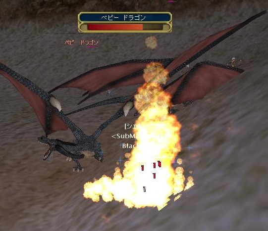 もはやドラゴンなんぞ食材でしかないぜ！