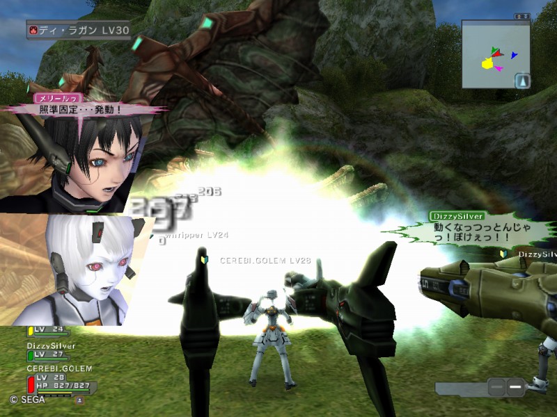 蜂の巣ドラゴン