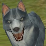 擬人化するとたぶんかわいいメス犬