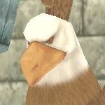 食いしん坊万歳