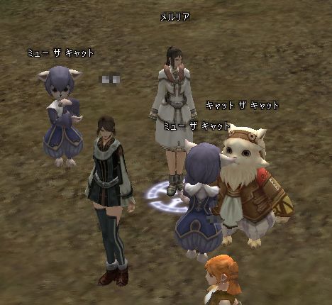 キャット「あーやんのかコラー」 ミュー右「あーやったろうやないけー」 ミュー左「争いとは虚しいものだ・・・」