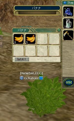 こんなにいっぱい食べられないよぅ