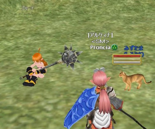 さっそく装備、ジャキーン