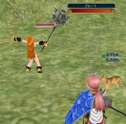 ぬこ、常に平常心