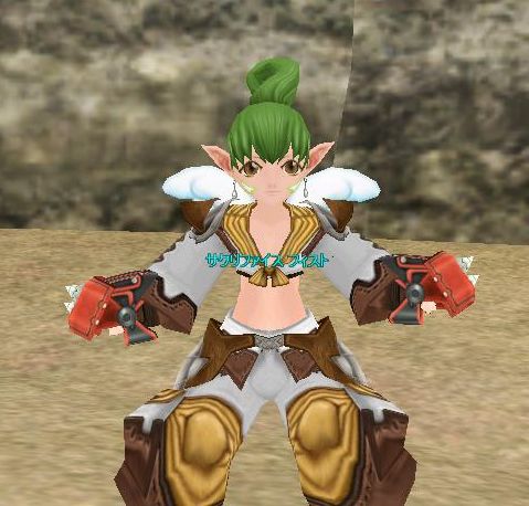 猫山鉄拳奥義の構え