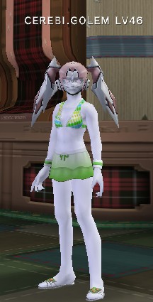 ﾄﾞｰｰｰｰｰｰｰﾝ