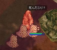 クマには死んだふりだ！