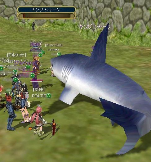 水中の生物が地上にいると結構びびる