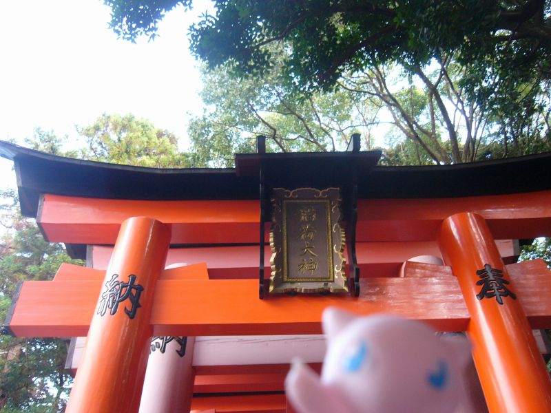 ＼したからくるぞ！／