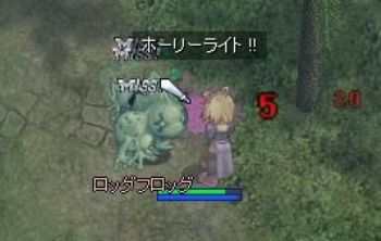 今日は運がいい♪