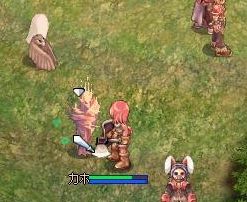 見た目のわりには弱い