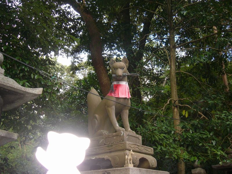 今頃幻のポケモンであることを主張