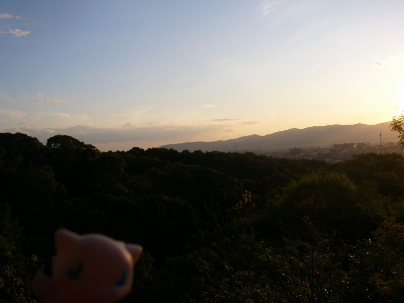 ここから京都タワー見えるんだなぁー