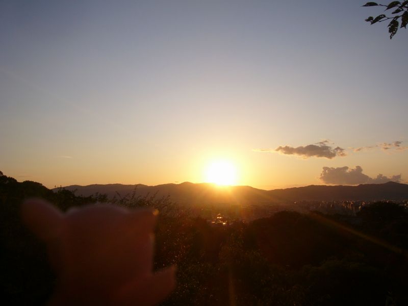 こんな綺麗な夕焼け見たのは何年ぶりだろう