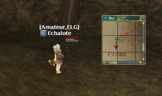 毎度ながらリュックとひょうたん重くて遅い