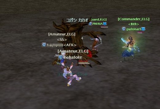 カカオよこせよー