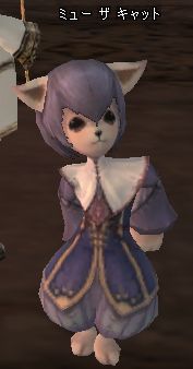 魔法使います、ぱたぱた走ります、にゃーって鳴きます