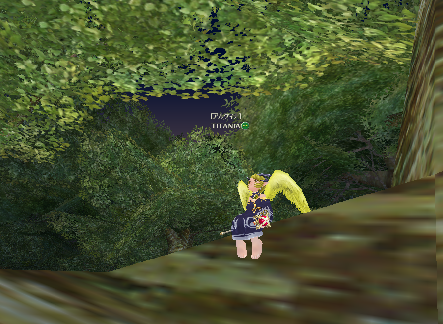 森はいいね・・・癒されるよ