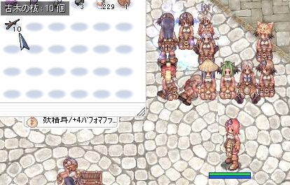 たくさんｱﾙﾖ