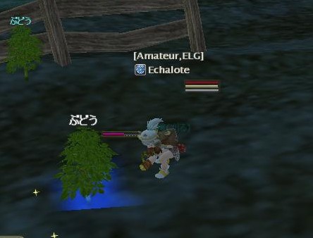 今日も収穫日和ですの～