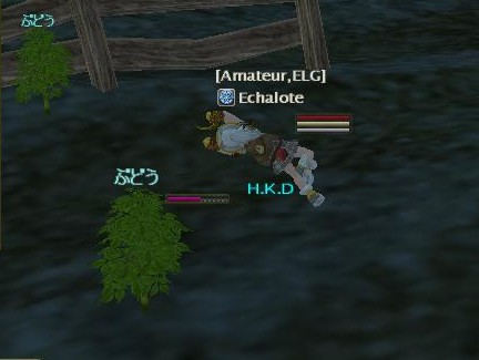 あ、ちょうちょ！