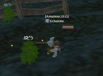 ちょうちょ逃げちゃった・・・あきらめよっと