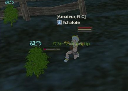 と見せかけてゲットー！！