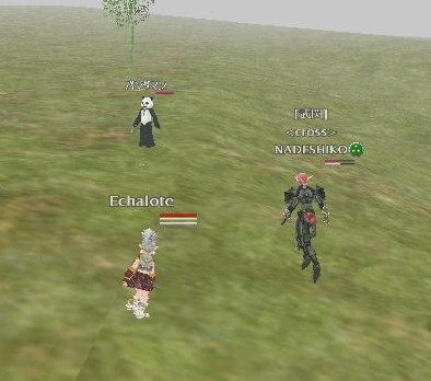 Echalote「くぅゎいいーー！」　NADESHIKO「お持ち帰りー！」