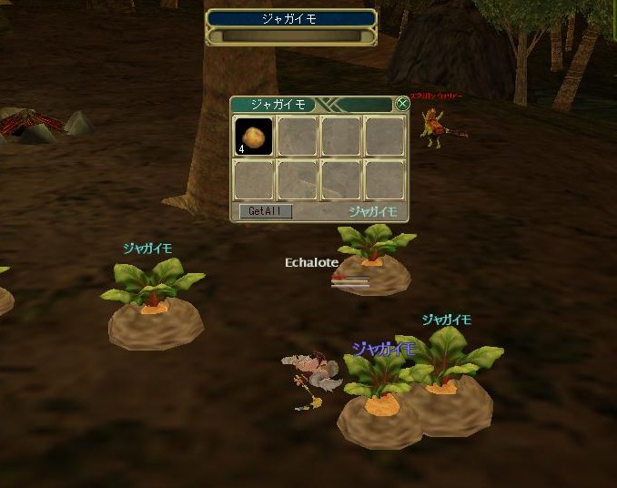 センスレス中でも根性でルートできるよ