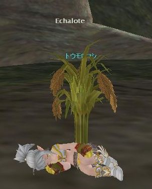 誰も見てない、さぼるなら今のうち・・・