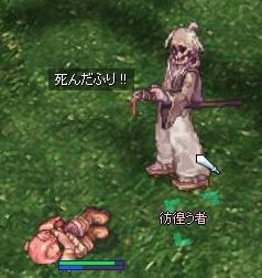 でもやっぱりノービスだ！