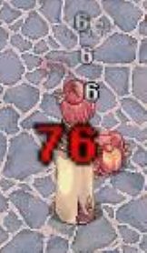 生物は早めに食べましょう