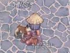 子犬かわいい・・・・