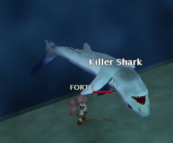 サメって釣れるんだね