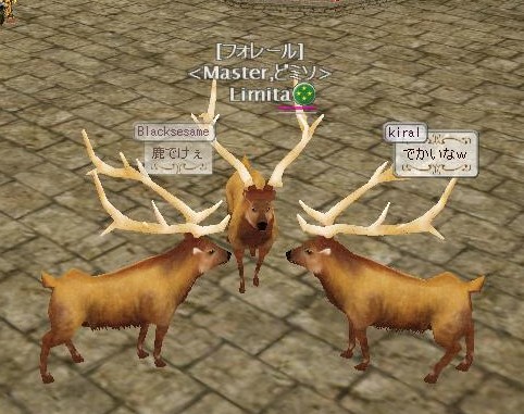 シカせんべいおいしいです