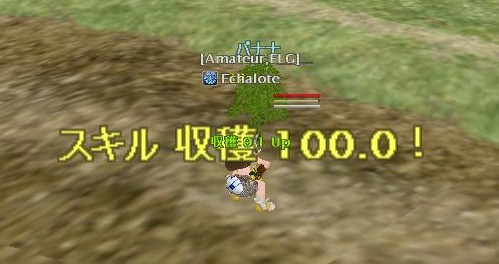 収穫１００！！