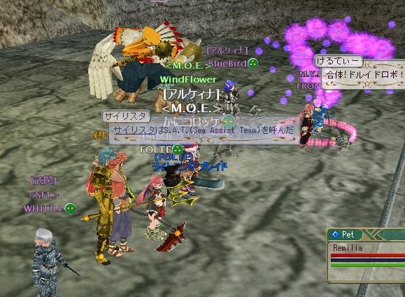 パラディン一匹で戦況変わるよね