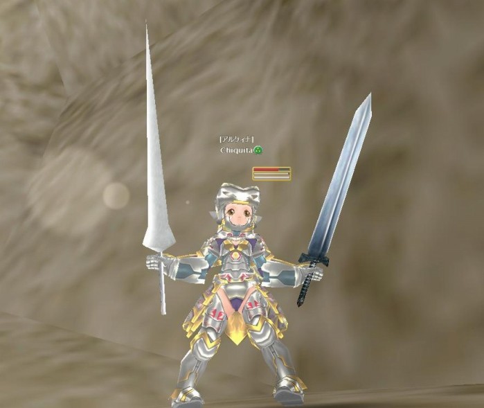 重装備パラディン