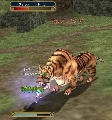 素手0.1UP　着こなし0.1UP　攻撃回避0.1UP　生命力0.1UP　持久力0.1UP