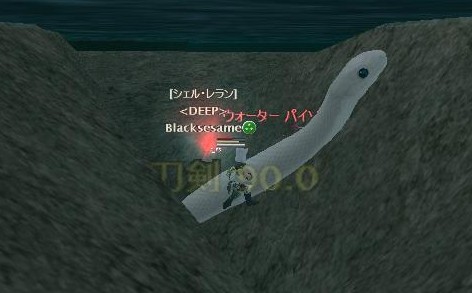 うまく撮れなかったorz