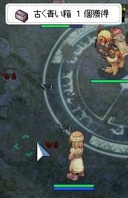 とったどーーーー！！