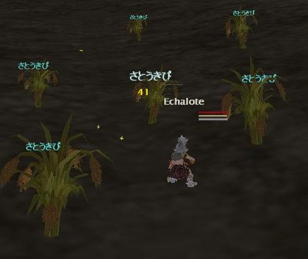 釣りだよ釣り・・・