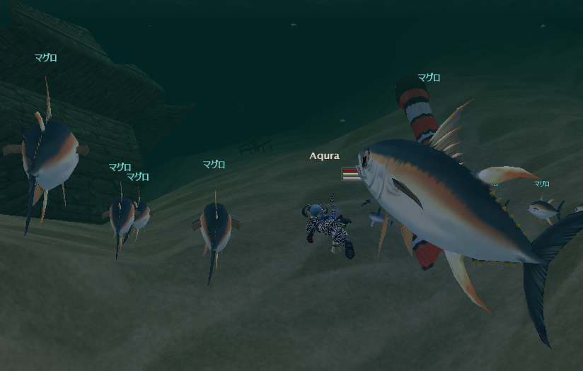 海は怖い生き物が多い