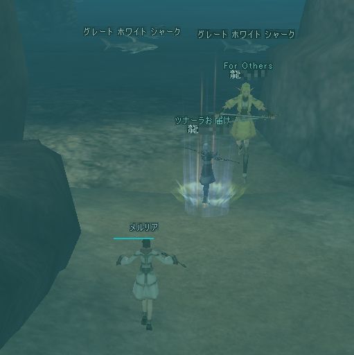 サメこえーサメこえー