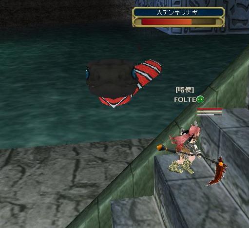 巨大ウナギは・・・本当にいたんだ！