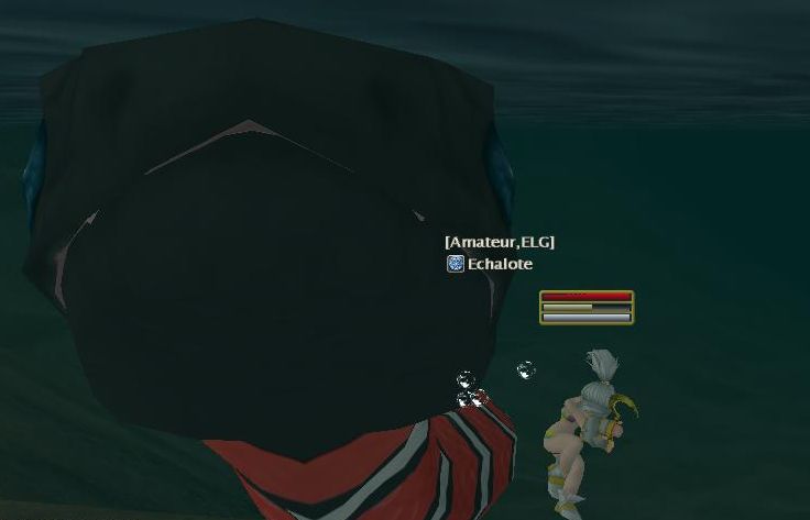 ウナギとおりまーす