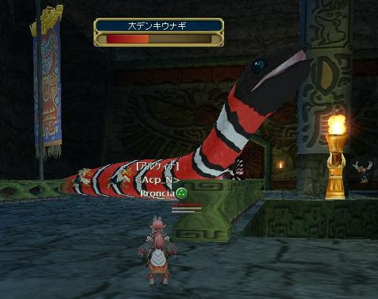 く、食われる！？