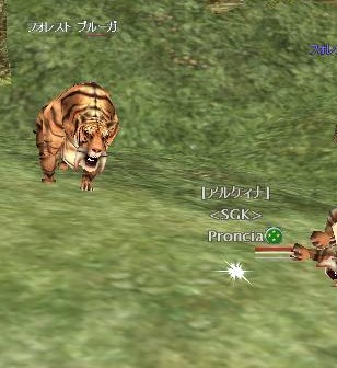 そのころ勇者はいまだにトラに苦戦していた・・・