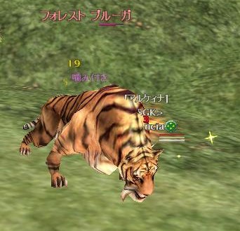 勇者番付　48位　トラに食べられた