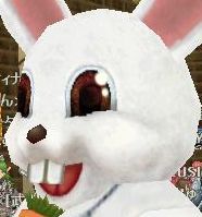 温厚ですよーーーー？